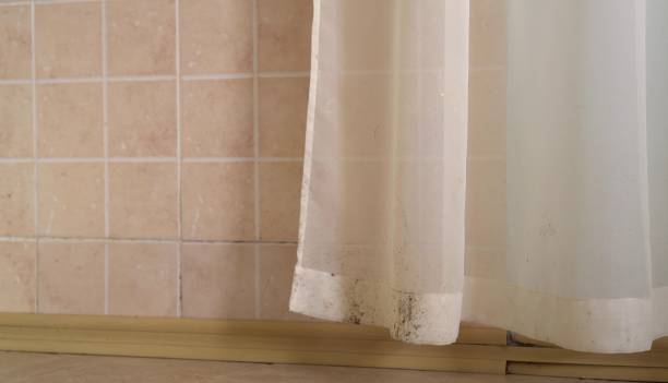 Best Mold Odor Removal Services  in Florin, CA